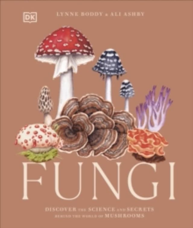 Fungi. Hardback. By Lynne Boddy, Ali Ashby Books