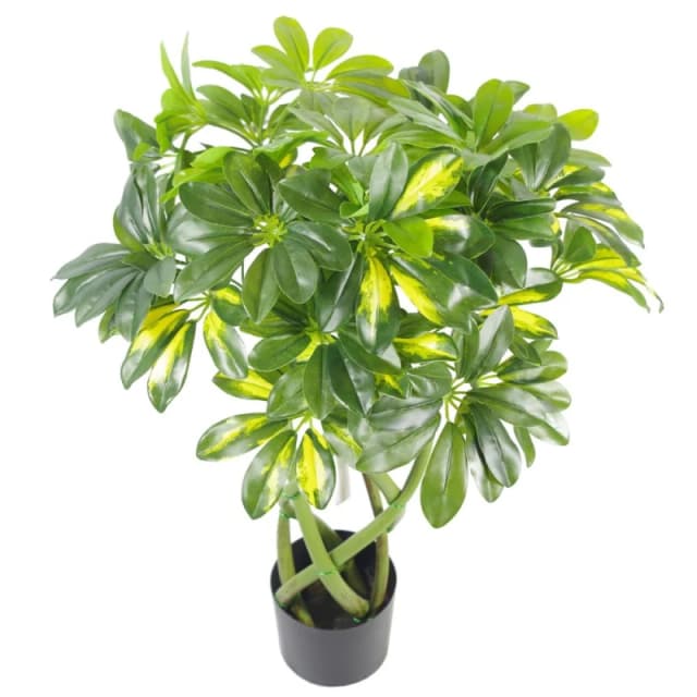 Leaf 70cm Artificial Twisted Stem Gold Capella Arboricola Artificial Plant Bonsai Bush Green