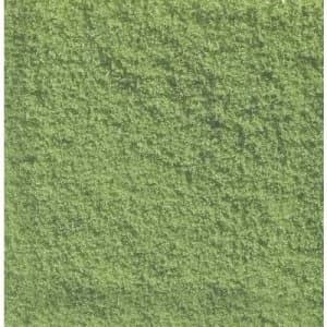NOCH 07202 Flockage Light green