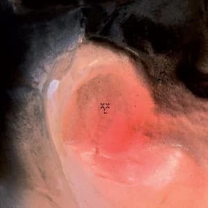 XXL - Puff O'Gigio Vinyl