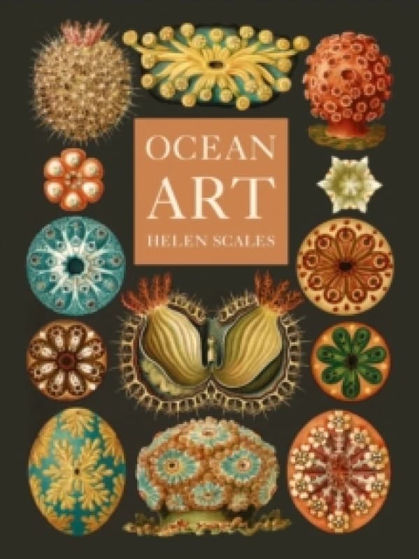 Ocean Art : From the Shore to the Deep Hardback