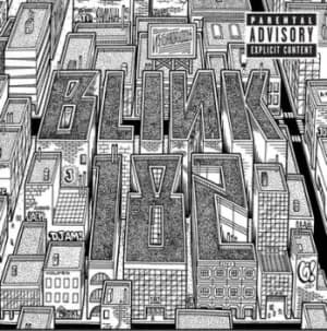 Neighborhoods by Blink-182 Vinyl Album