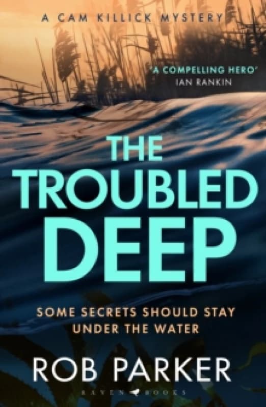 The Troubled Deep : 'The most brilliant Norfolk-set thriller since Elly Griffiths' Ruth Galloway books' Daily Mirror Paperback / softback