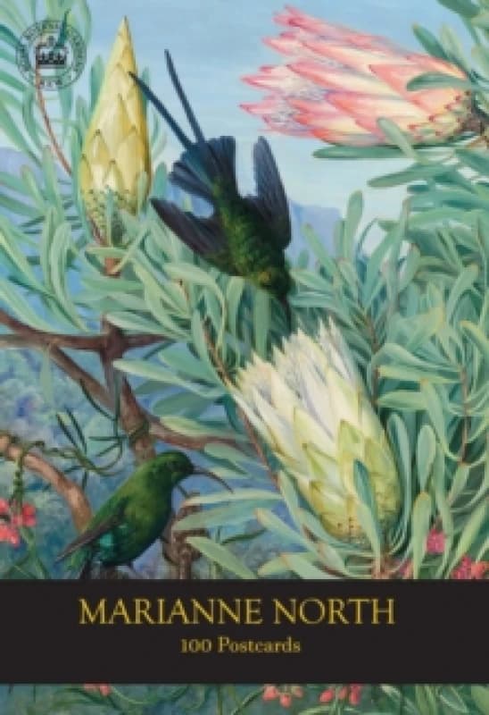 Marianne North 100 Postcards Postcard book or pack