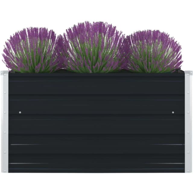 VIDAXL Vidaxl - Raised Garden Bed 100x100x45cm Galvanised Steel Anthracite 8719883756660