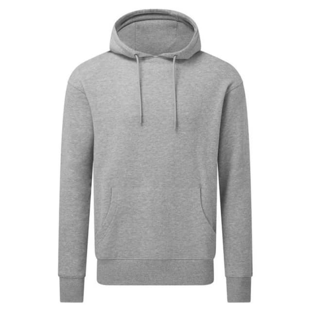 Anthem AM006 womens Sweatshirt in Grey