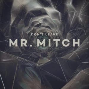 Mr. Mitch - Don't Leave Vinyl