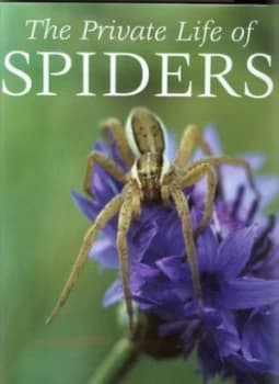 The Private Life of Spiders by P. D Hillyard Hardback