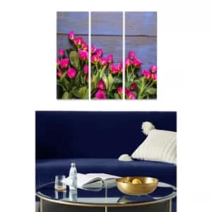MDF332641235 Multicolor Decorative MDF Painting (3 Pieces)