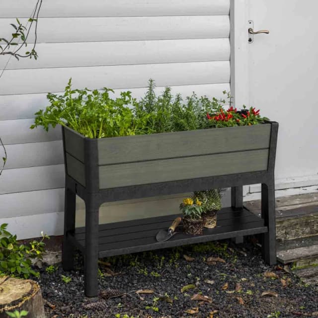 Keter Darwin Elevated Garden Bed - Green