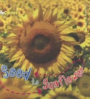 Seed to Sunflower by Camilla De La Bdoyre Paperback