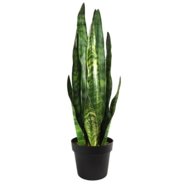 Leaf 70cm Artificial Sansevieria Zeylanica Plant Green unisex