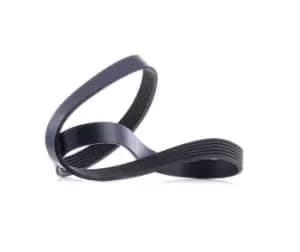 RIDEX V-ribbed belt 305P0060 Serpentine belt,Auxiliary belt VW,OPEL,RENAULT,Transporter V Bus (7HB, 7HJ, 7EB, 7EJ, 7EF, 7EG, 7HF, 7EC)
