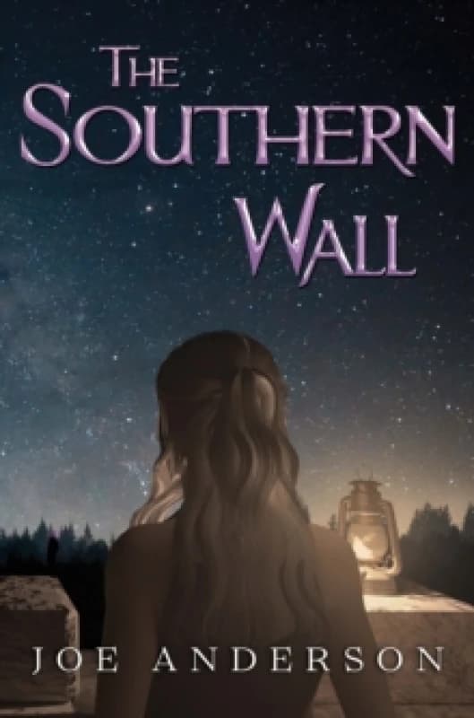 The Southern Wall Paperback / softback