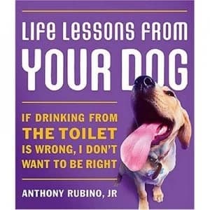 Life Lessons from Your Dog by Anthony Rubino Hardback