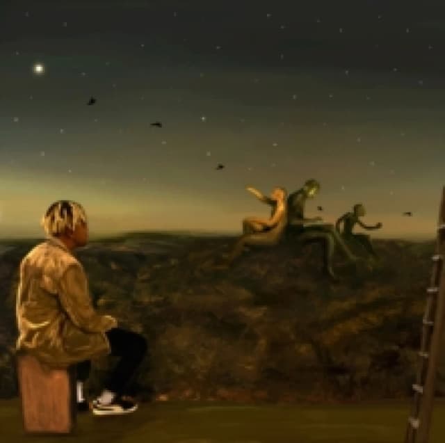 From a Birds Eye View Vinyl