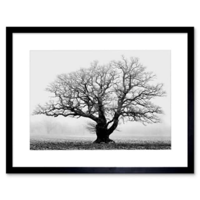 Artery8 Old Oak Tree Black White Mist Fog Photo 12X16" Framed Wall Art Print