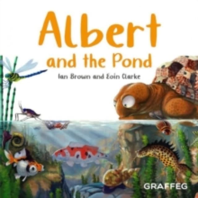 Albert and the Pond Paperback / softback