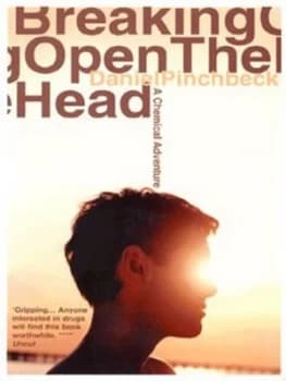 Breaking Open the Head by Daniel Pinchbeck Paperback