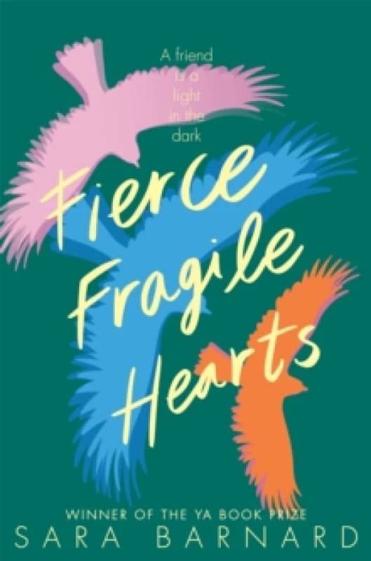 Fierce Fragile Hearts Paperback / softback