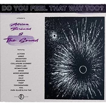 Various Artists - Do You Feel That Way Too? CD