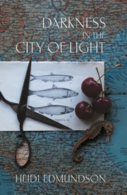 Darkness in the City of Light Paperback