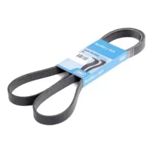 SKF V-ribbed belt VKMV 6PK1620 Serpentine belt,Auxiliary belt VW,OPEL,HONDA,Passat Variant (3C5),Passat Limousine (3C2),Eos (1F7, 1F8)