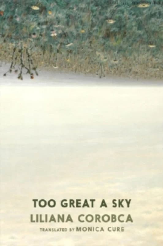 Too Great A Sky Paperback / softback