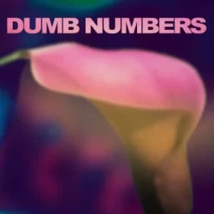 Dumb Numbers ‎- Dumb Numbers CD