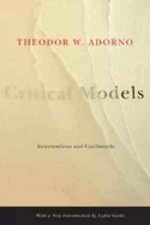 critical models interventions and catchwords