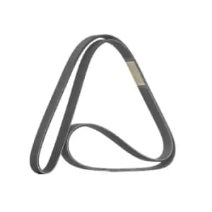 RIDEX V-ribbed belt 305P0506 Serpentine belt,Auxiliary belt HYUNDAI,KIA,MITSUBISHI,TUCSON (JM),SANTA FE II (CM),SANTA FE I (SM),SONATA V (NF)