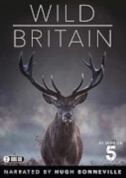 Wild Great Britain