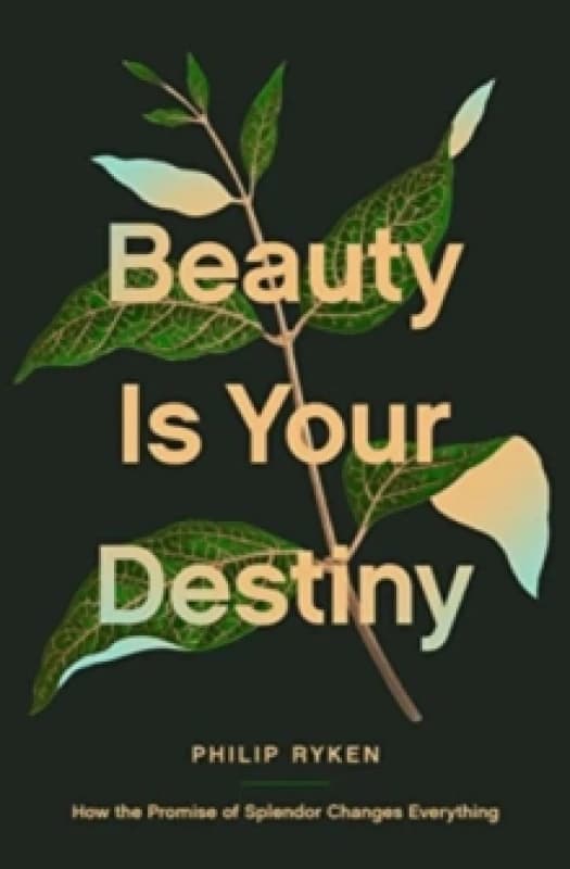 Beauty Is Your Destiny : How the Promise of Splendor Changes Everything Paperback / softback