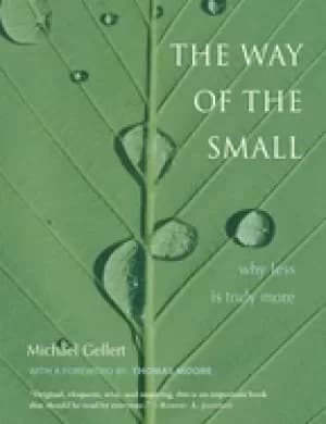 way of the small why less is more