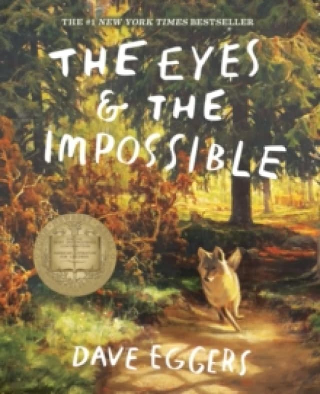 The Eyes and the Impossible Paperback / softback