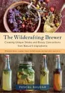 wildcrafting brewer creating unique drinks and boozy concoctions from natur