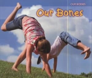 Our Bones by Charlotte Guillain Book