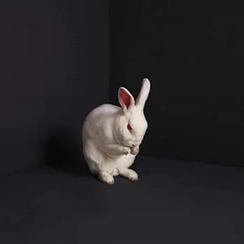 Brume - Rabbits CD