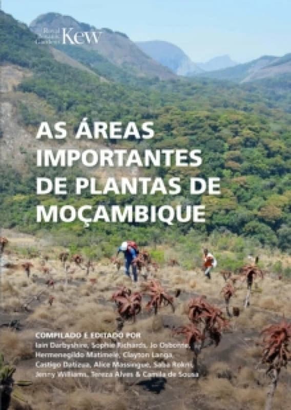 As Areas Importantes de Plantas de Mocambique Paperback / softback