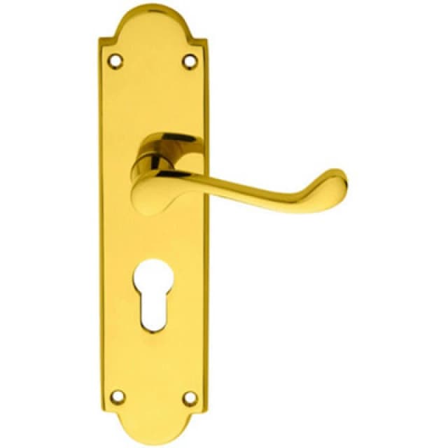 Loops PAIR Victorian Scroll Lever on Euro Lock Backplate 205 x 49mm Polished Brass Metallics