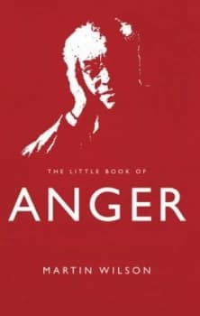 The little book of anger by Martin Wilson