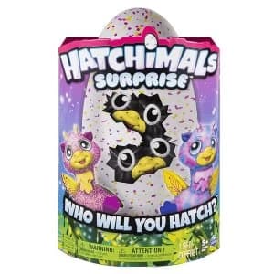 Hatchimals Surprise Pink Egg