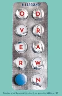 Overdrawn : A Guardian Book of the Month