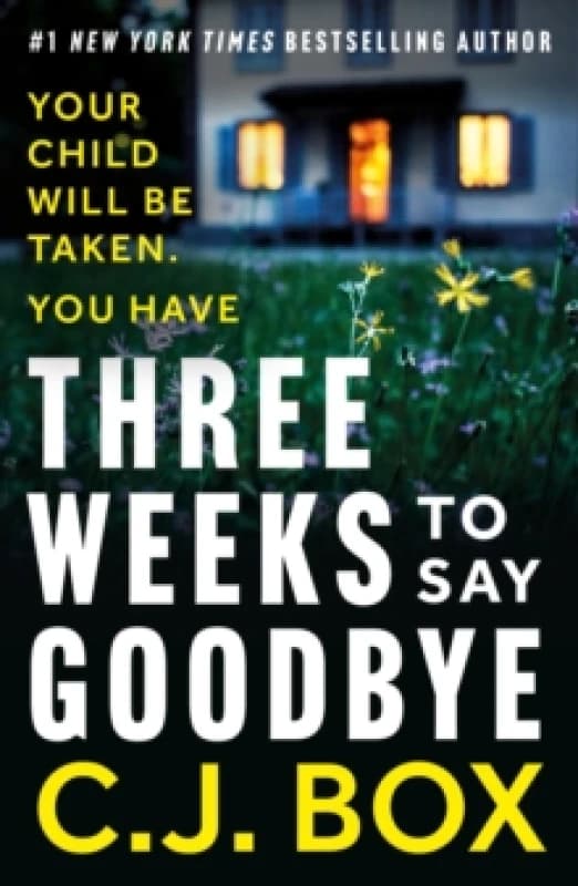 Three Weeks to Say Goodbye Paperback / softback