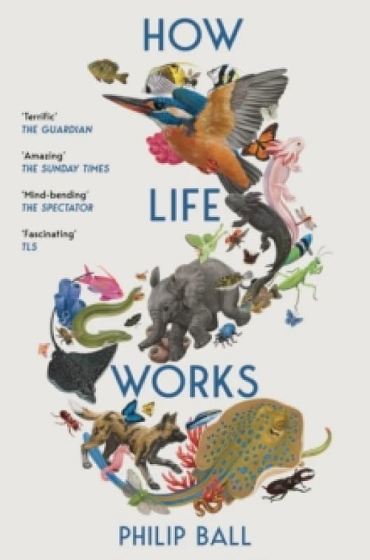 How Life Works : A Users Guide to the New Biology Paperback / softback