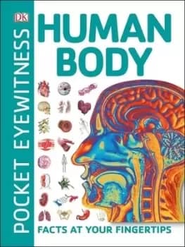 Human body by