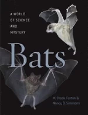 bats a world of science and mystery
