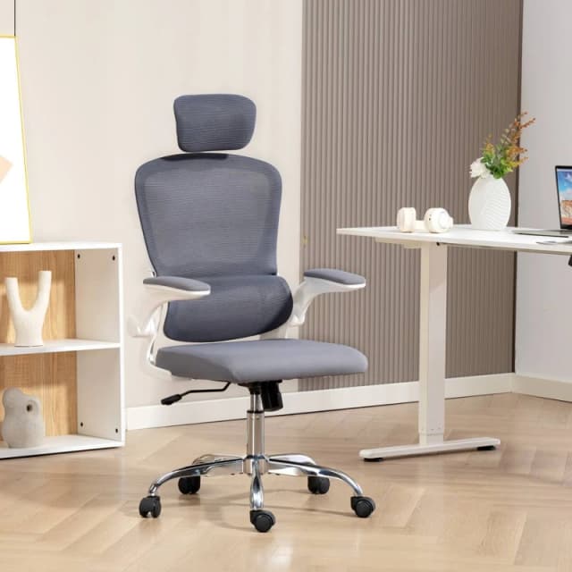 HOMCOM HOMCOM Ergonomic Mesh Office Chair with Adjustable Headrest for Home in Dark Grey Dark Grey One Size Unisex 5063603653214
