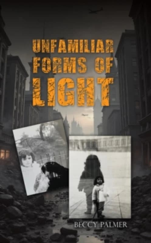 Unfamiliar Forms of Light. Paperback. By Beccy Palmer Books
