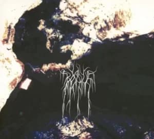 Beyond by Bosque CD Album